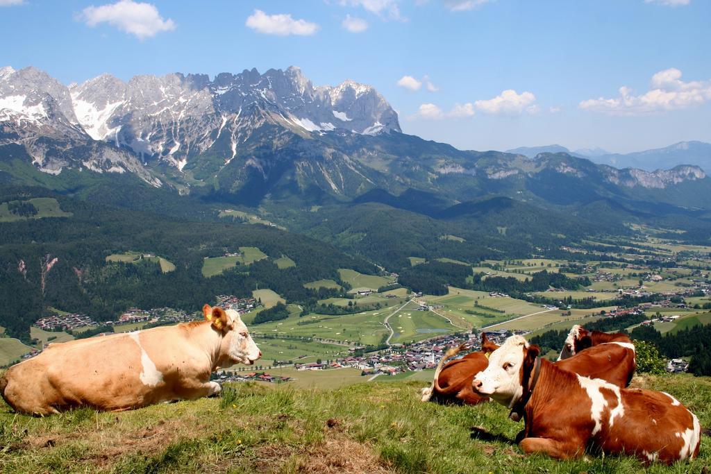 Hotel Schnapperhof Going am Wilden Kaiser Exterior foto