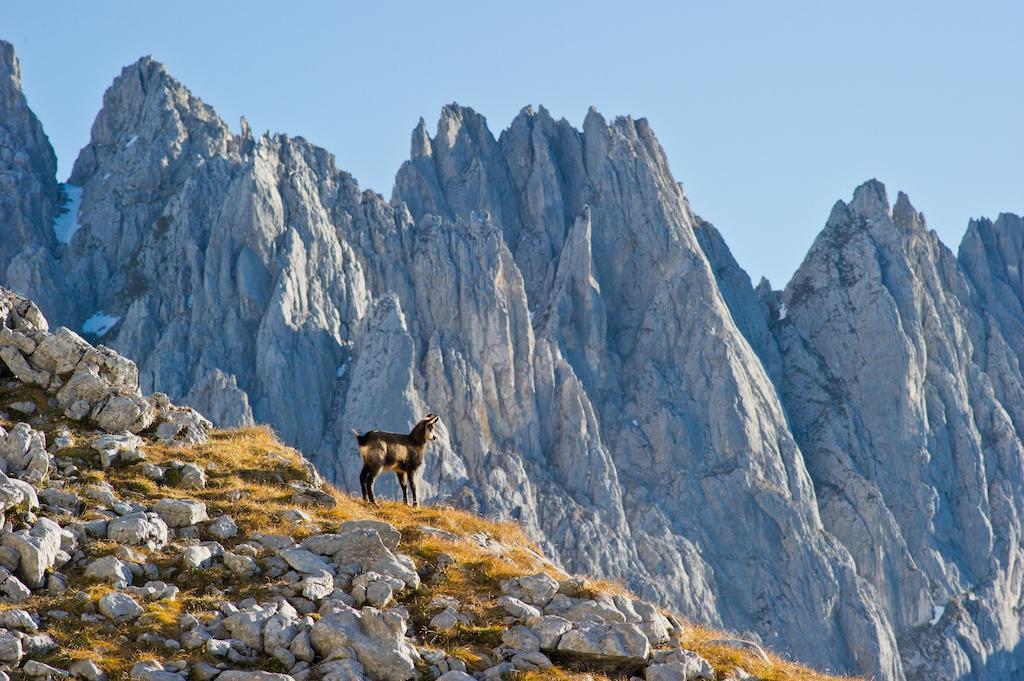 Hotel Schnapperhof Going am Wilden Kaiser Zimmer foto